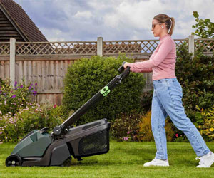Lawnmower Repair Liss