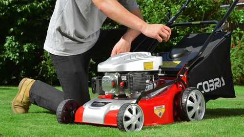 Petrol Mower Hampshire